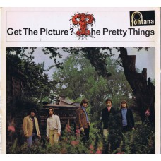 PRETTY THINGS Get The Picture (Fontana 687 359 TL) Holland 1965 Mono LP